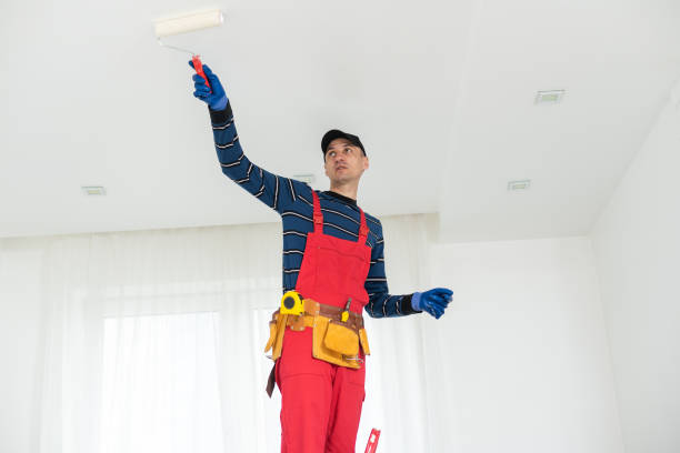 Trusted Chester, CA Mold Removal Experts